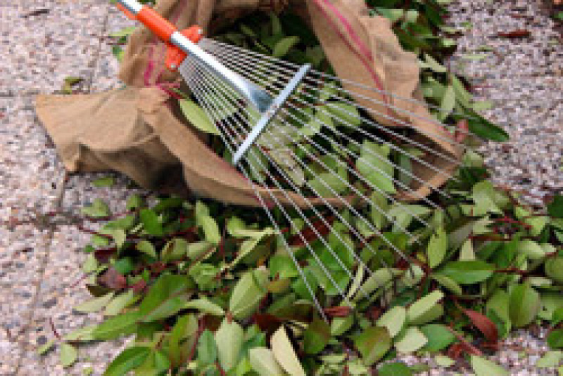 Gartenabfälle entsorgen - auch wenn es mal etwas mehr wird.